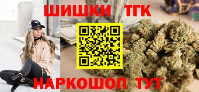тгк Новодвинск