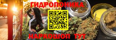 тгк Новодвинск