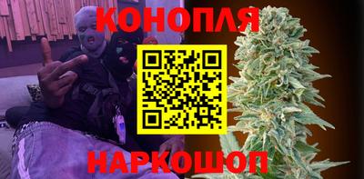 тгк Новодвинск