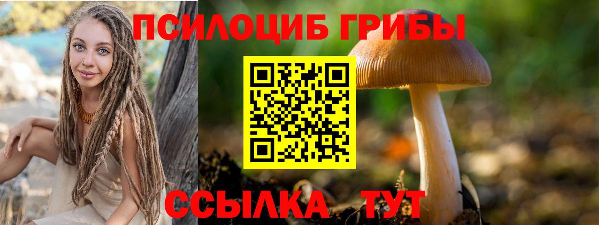Псилоцибиновые грибы GOLDEN TEACHER  Псилоцибиновые грибы Magic Shrooms  Вход с VPN  Тимашёвск 